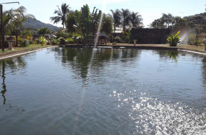 Chácara á venda em São Simão SP, dentro da Cidade